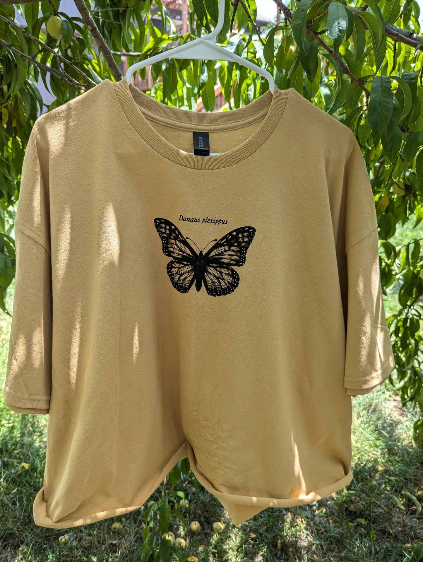 Monarch Wings Cropped T-shirt