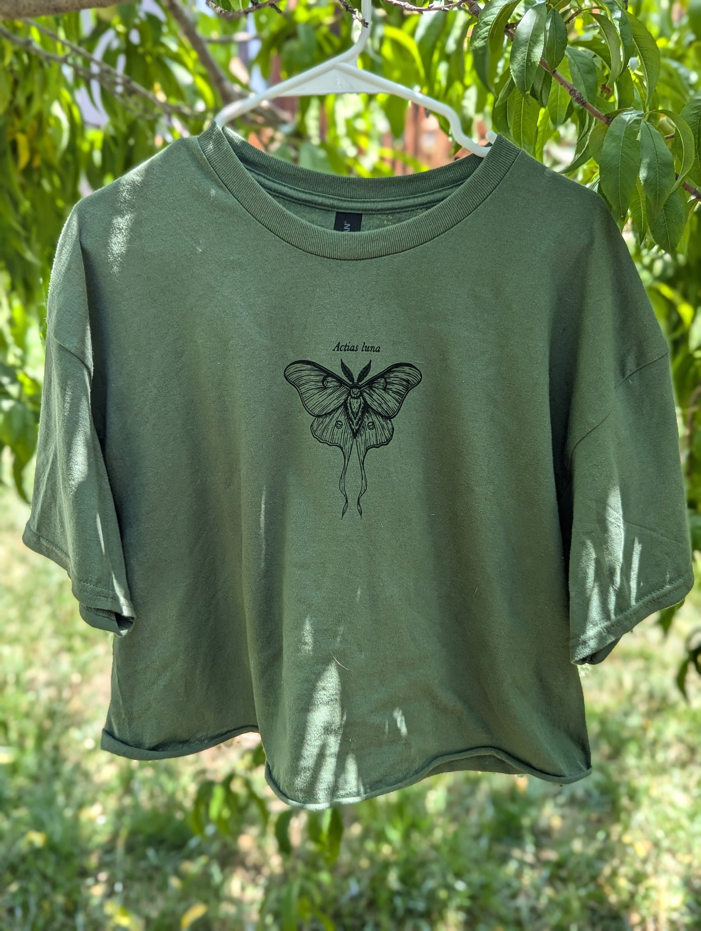 Luna Moth Wings Cropped T-shirt